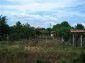 Near the house